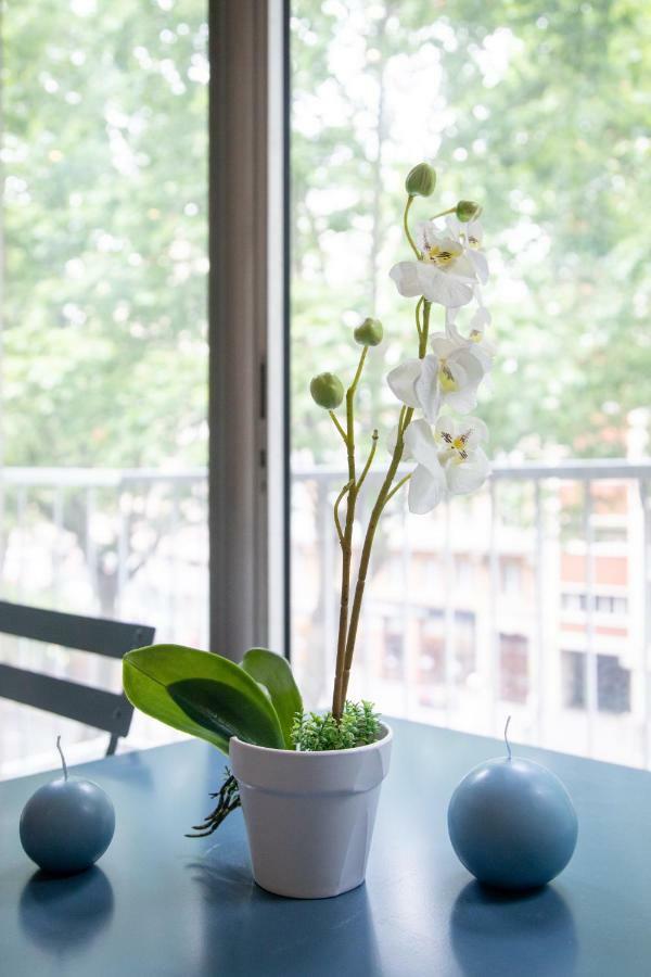 L'Alcove Saint Georges ★ Au Coeur De Toulouse Apartment Ngoại thất bức ảnh